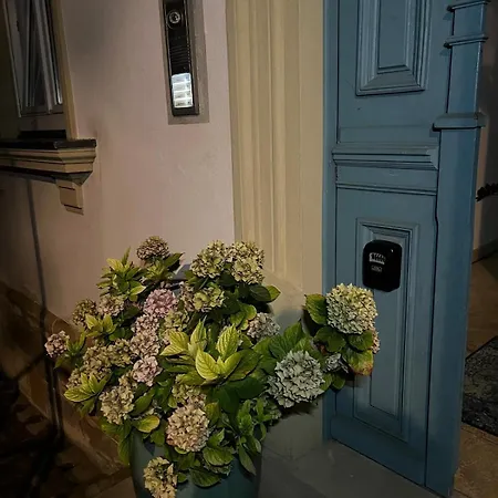 Casa Ribeiro Sotao *