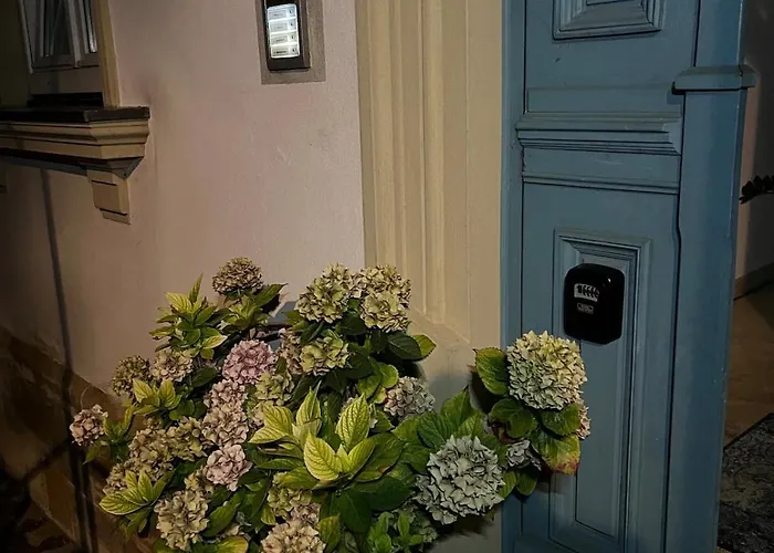 Casa Ribeiro Sotao *